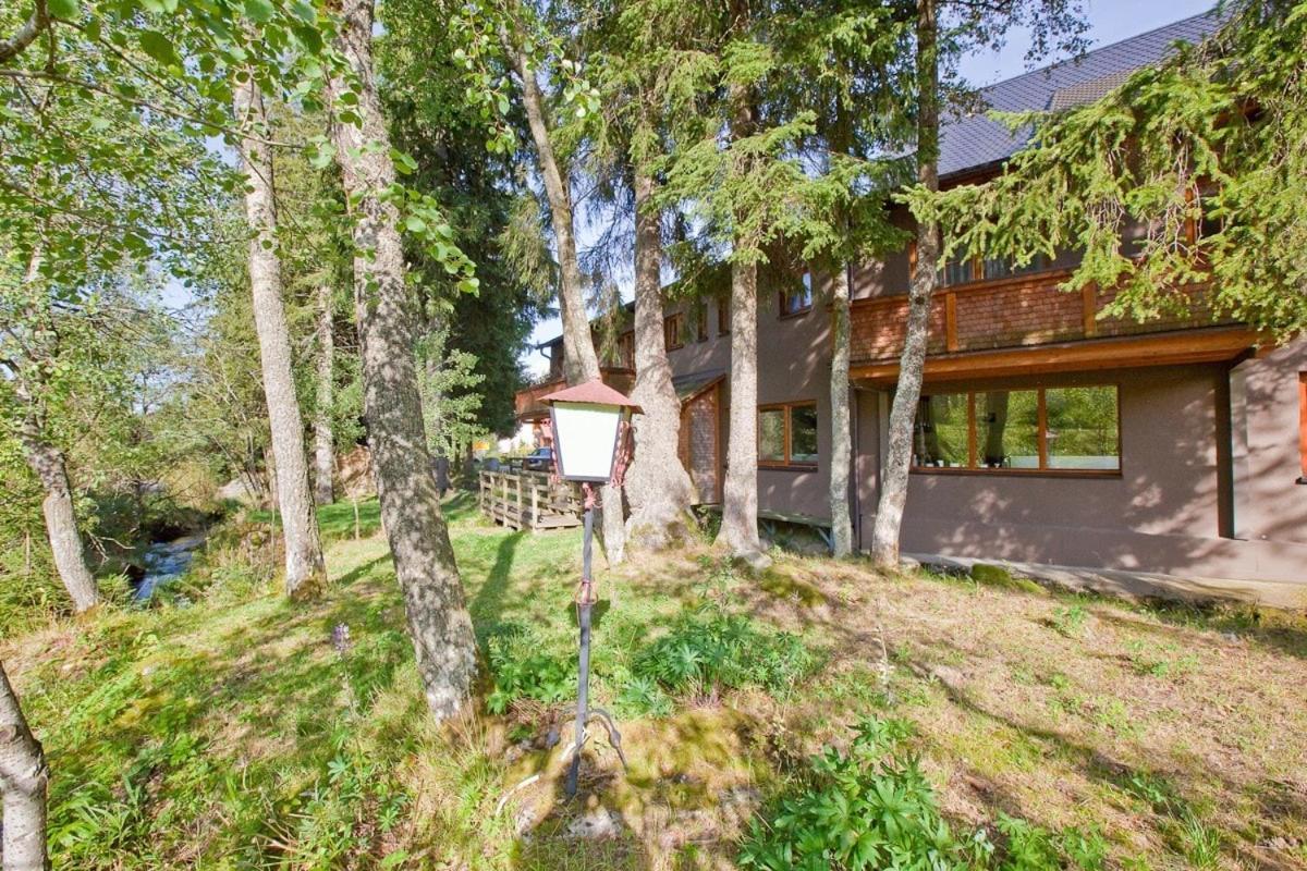 Schwarzwald Lodge Inselklause Шенвальд Екстер'єр фото